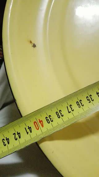 Big Enamel tray/platter