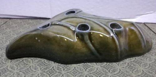 Leaf flower frog - Wade