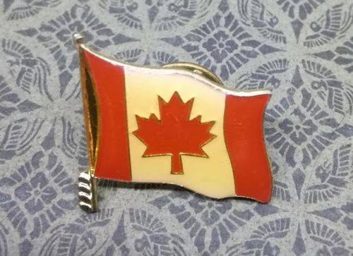 Lapel pin