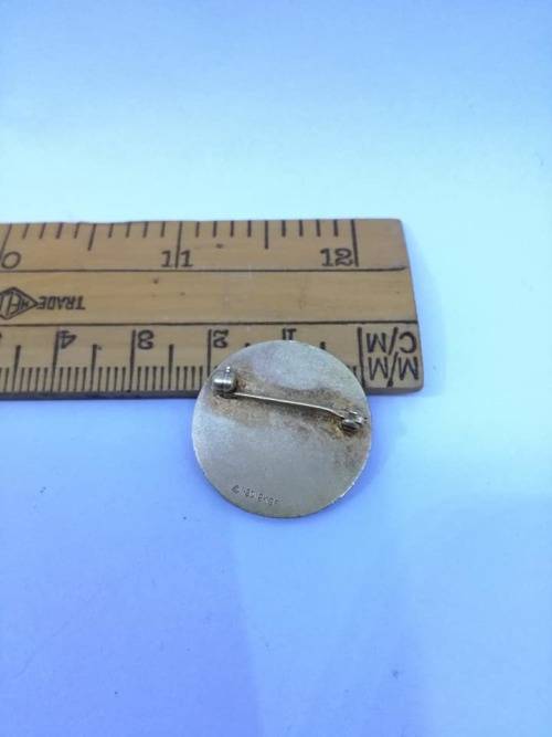 12k Gold filled  brooch