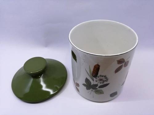 Midwinter Staffordshire semi porcelain cannister