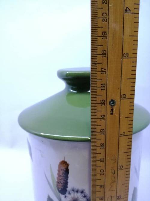 Midwinter Staffordshire semi porcelain cannister