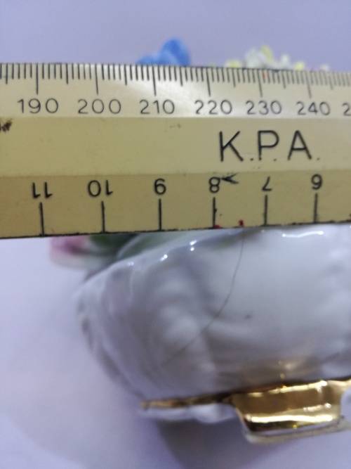 Vintage Porcelain Radnor Bone China Flowers Staffordshire England - Flowers all intact, vase cracked