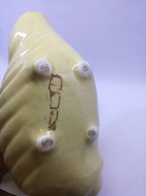 Drostdy shell - yellow