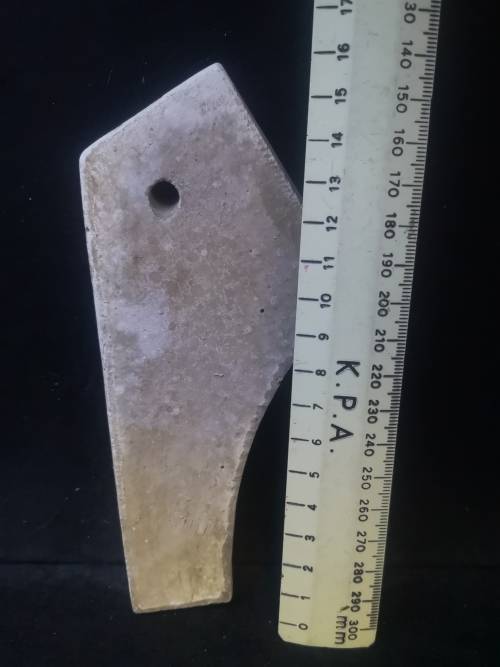 Sint Jan den Bosch beeltjie