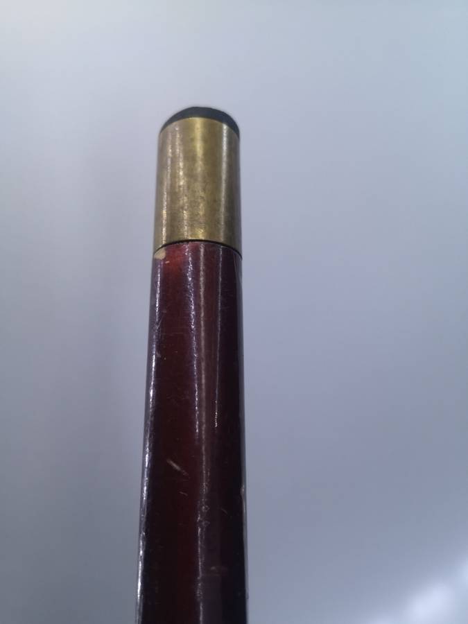 Stunning walking stick