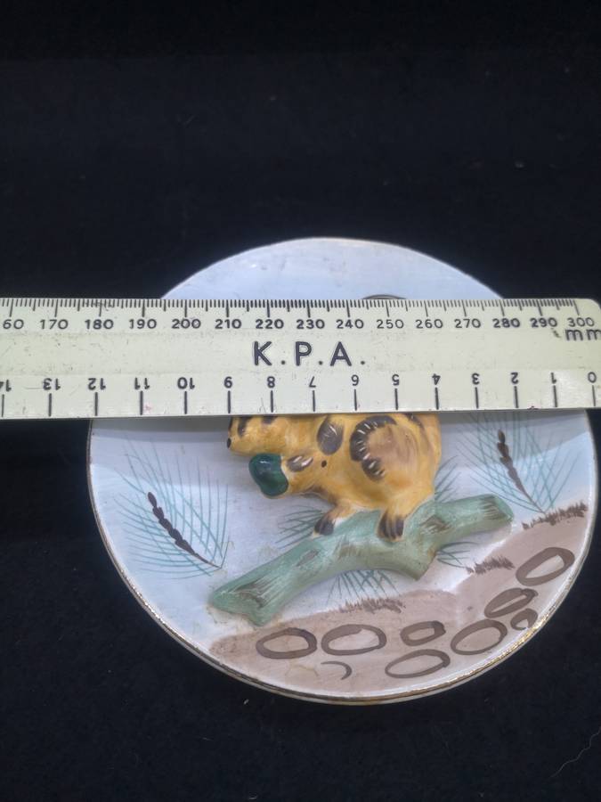 Squirrell wall pocket