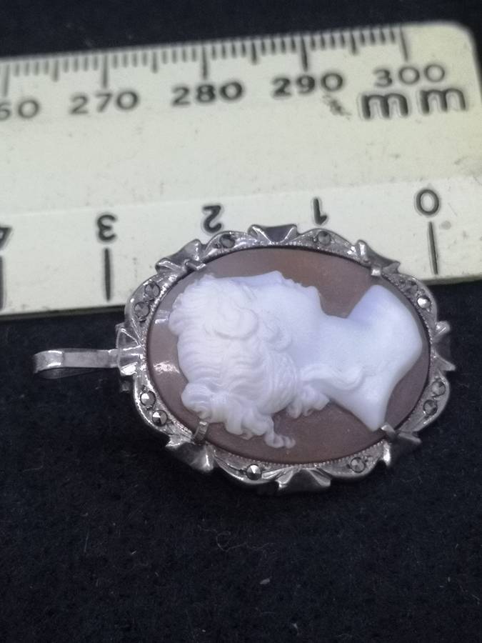 High craftmanship Cameo brooch/pendant set in silver