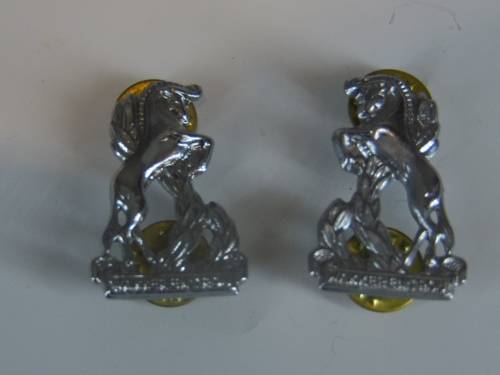 REGIMENT DAN PIENAAR CHROME COLLAR BADGE SET ALL PINS