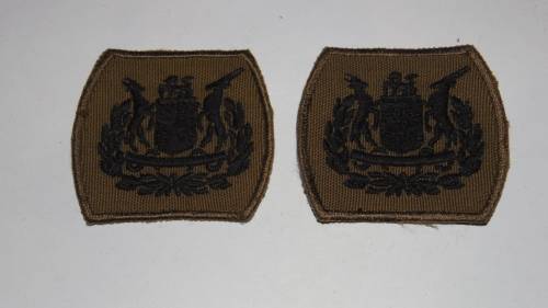 SADF FIRST CAMMO WO1 EMBROIDERED RANK SET