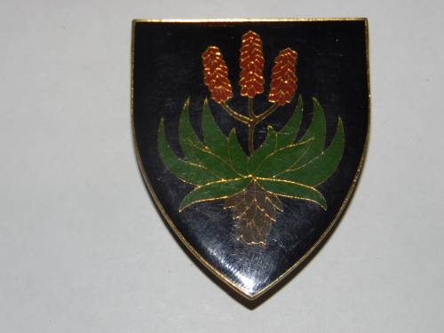 REGIMENT PIET RETIEF ALL PINS