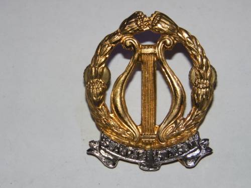 SA PERMANENT FORCE BAND MEMBER CAP BADGE