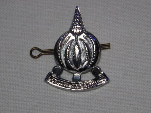 FINANCE CORPS CAP BADGE