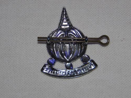 FINANCE CORPS CAP BADGE