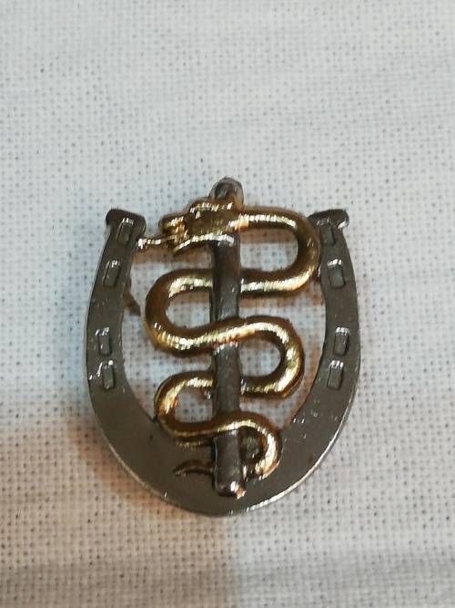 MEDICAL CORPS VETERINARIAN PROFICIENCY BADGE