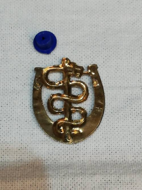 MEDICAL CORPS VETERINARIAN PROFICIENCY BADGE