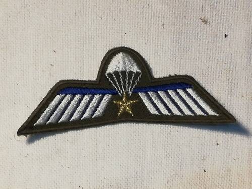 INTERNATIONAL PARATROOPER WINGS