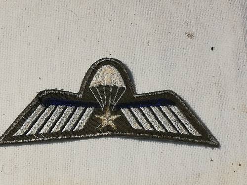 INTERNATIONAL PARATROOPER WINGS