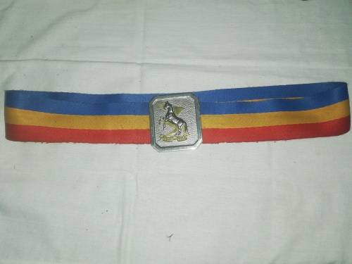TECHNICAL SERVICE CORPS BELT AND BUCKLE  96CM BELTING