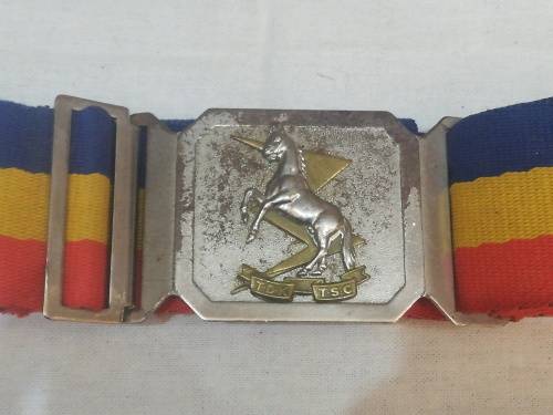 TECHNICAL SERVICE CORPS BELT AND BUCKLE  95CM BELTING