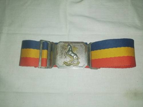 TECHNICAL SERVICE CORPS BELT AND BUCKLE  95CM BELTING