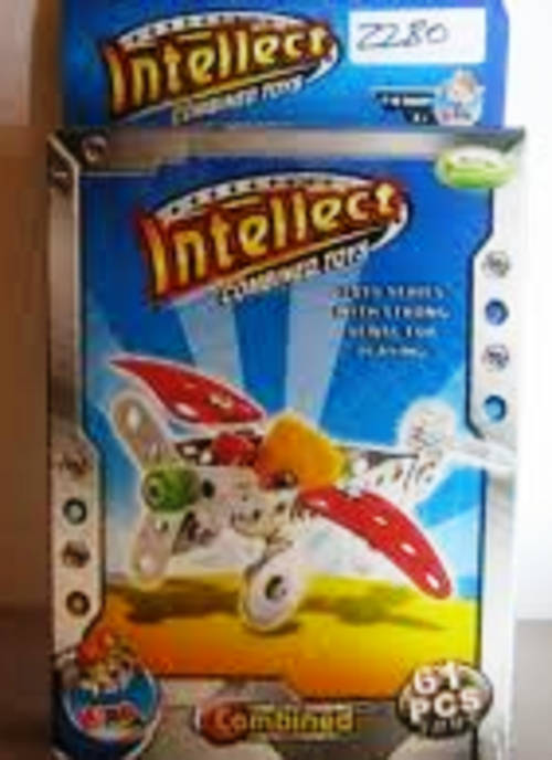 Intellect 61 Pieces Toy