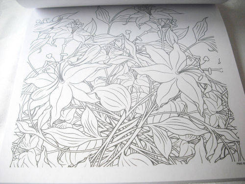 COLOUR-IN THERAPY GIFT PACK