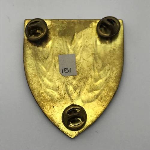 SADF - `Swartland Commando` Shoulder Flash (3 Pins)