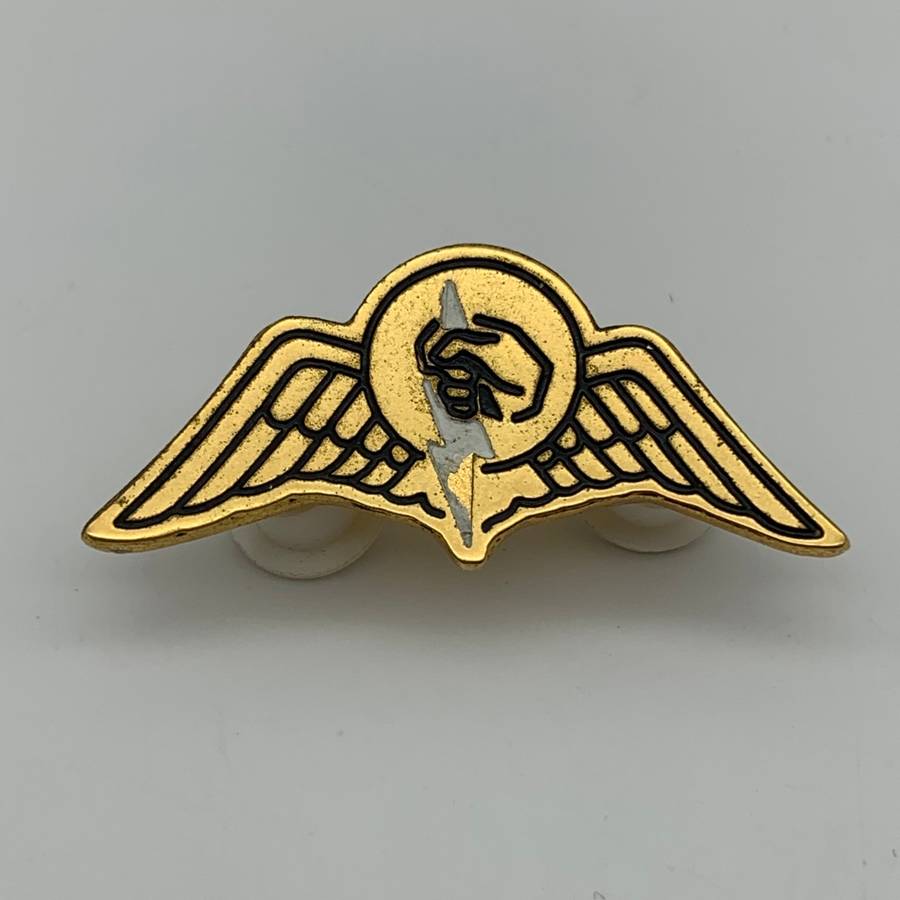 S.A. `Railway Police Task Force`Operator`s Wings