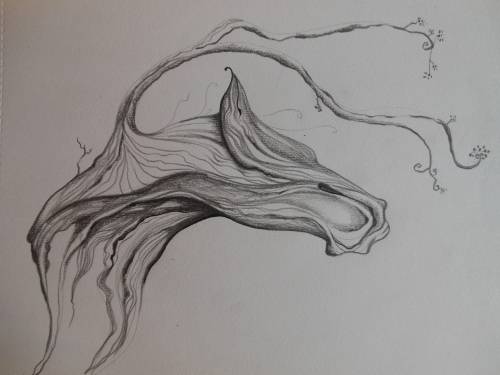 Horse Branch