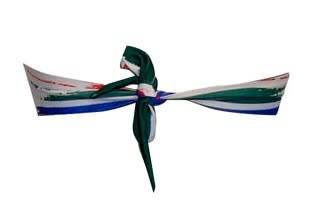 SA Flag Bikini Twist Top - size 38 or X-Large