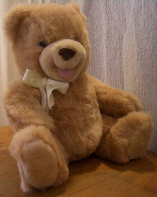 TEACHING TALKING TEDDY - Russ Berrie Teddy Bear