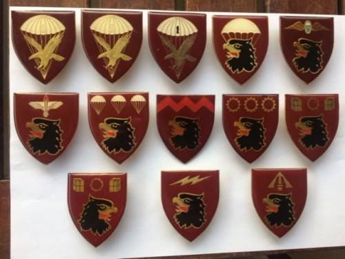 Parabat 44 Parachute Brigade Flashes