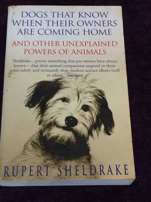 Dogs that Know when their Owners are comng Home by Ruper Sheldrake