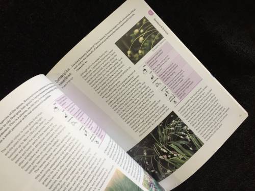 Bamboos and Grasses by Jon Ardle ~ Collins Practical Gardener