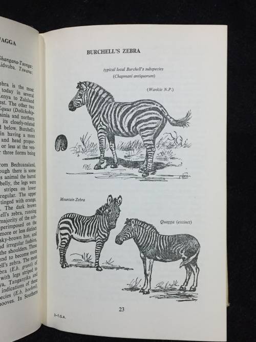 The Game Animals of Southern Africa C.T. Astley Mabery | First Edition 1963