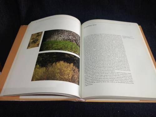 The Forgotten Highway by Dene Smuts and Paul Albert | Through Ceres and the Bokkveld