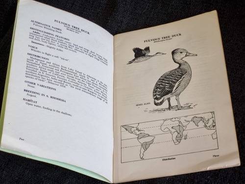 Guide to the Waterfowl of Southern Rhodesia by Reay HN Smithers