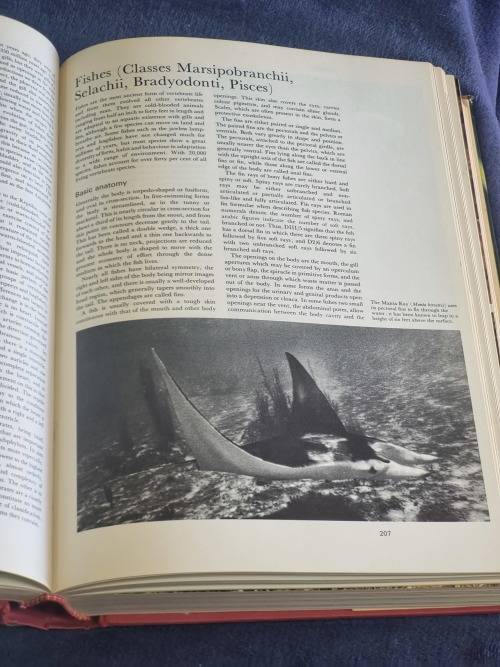 Larousse Encyclopedia of Animal Life by Paul Hamlyn