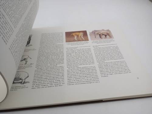 Elephants of Africa by Paul Bosman and Anthony Hall-Martin 1986 First Edition