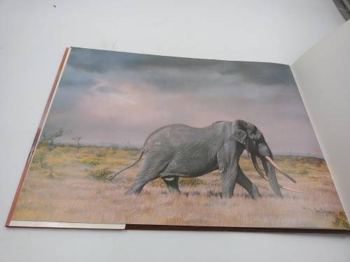 Elephants of Africa by Paul Bosman and Anthony Hall-Martin 1986 First Edition