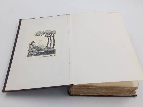 Reminiscences of a South African Pioneer by WC Scully | 1913 First Edition