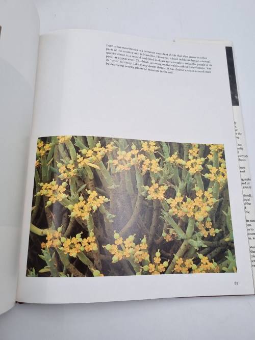 South Africas Proteaceae Know them and Grow them - Marie Vogt