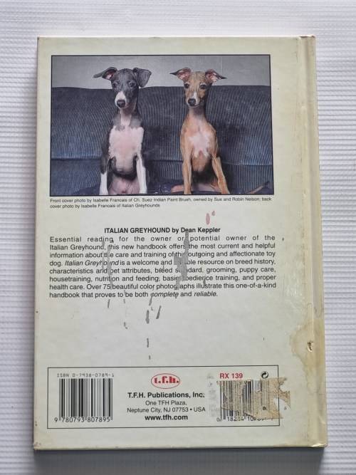 Italian Greyhound | A Complete and Reliable Handbook