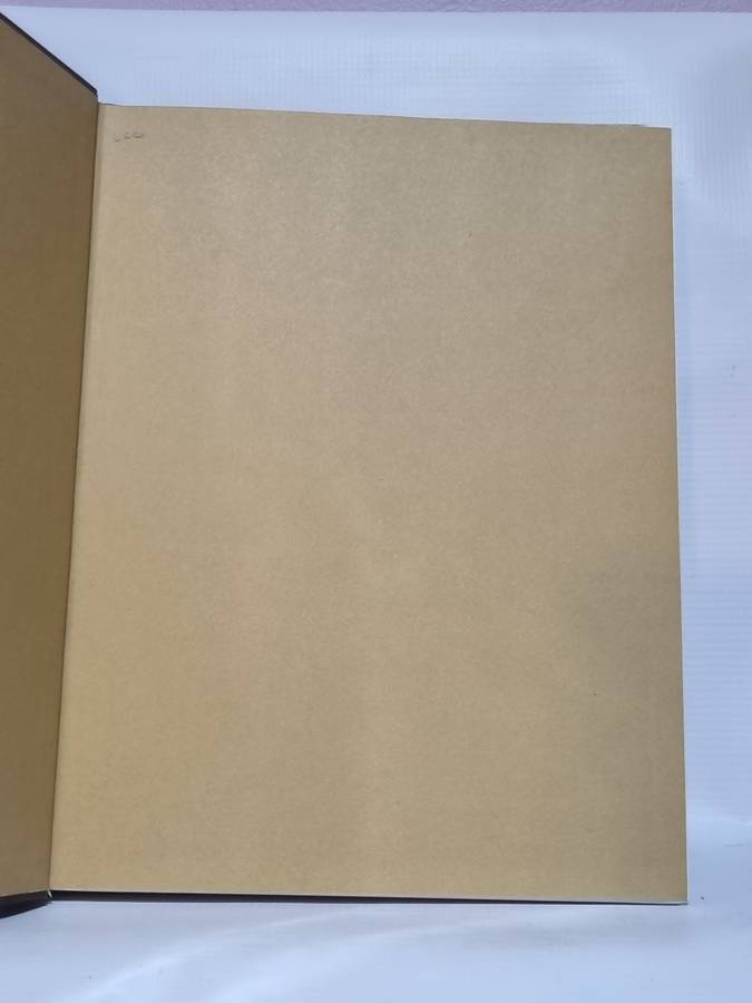 Sons of Zulu - Aubrey Elliott