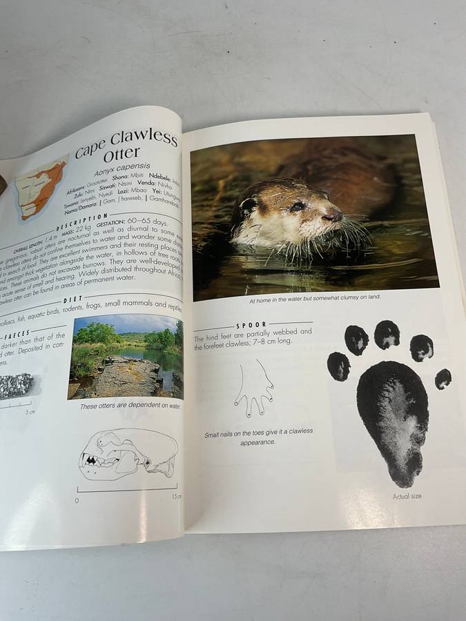 Signs of the Wild - Clive Walker | A Field Guide to the Spoor and Signs of the Mammals | New Edition