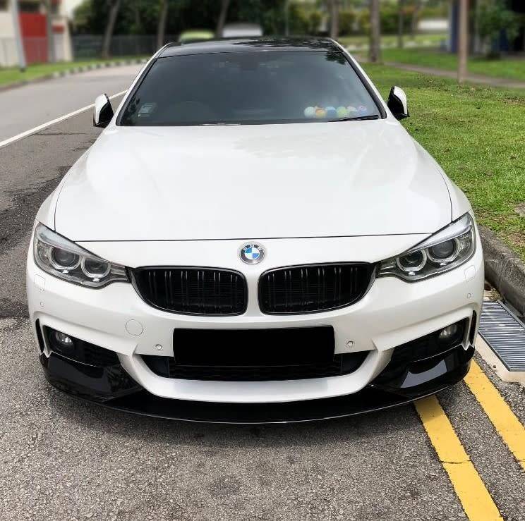 BMW F32 front lip