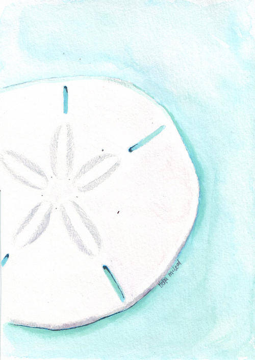 Sand dollar Original Watercolor Painting on Paper