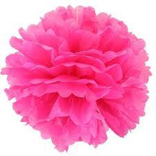 Hot Pink Pom Poms (21 cm)
