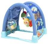 Fisher-Price Ocean Wonders Kick & Crawl Aquarium Gym - FREE SHIPPING